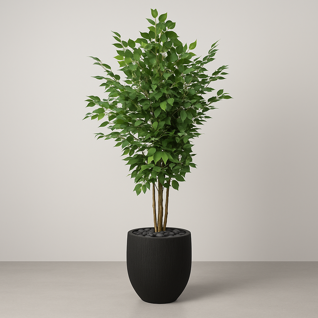 Artificial Ficus Tree With Natural Wooden Trunk 200 Cm Luxury Casa