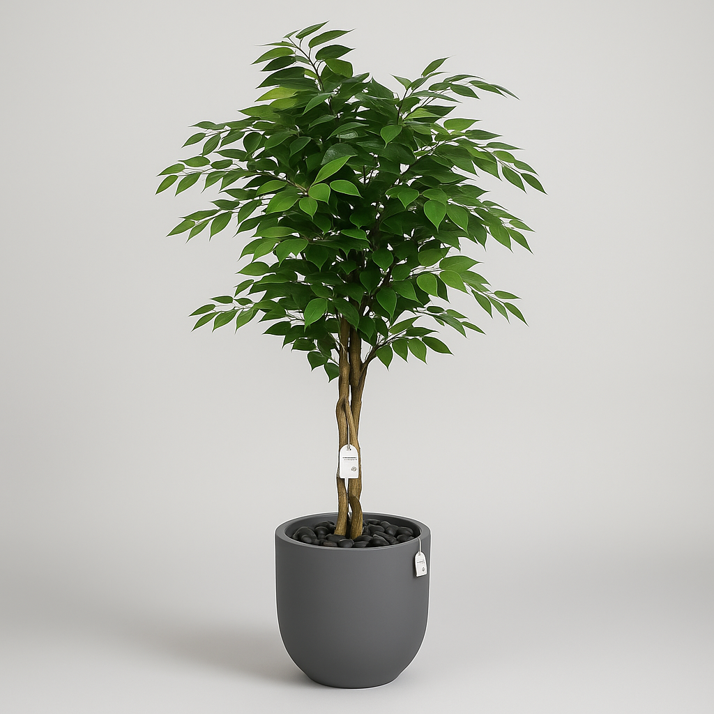 Artificial Ficus Tree With Natural Wooden Trunk 150 Cm Luxury Casa