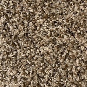 Jackpot  Carpet Roll – AED 69 per m²