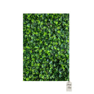 Artificial Boxwood Leaf Green Wall Panel 40x60 cm Luxury Casa