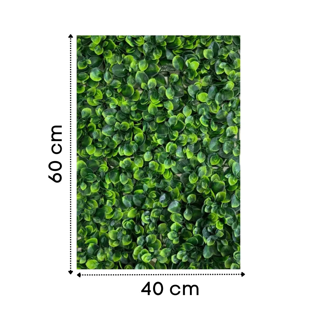 Artificial Boxwood Leaf Green Wall Panel 40x60 cm Luxury Casa