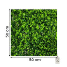 Artificial Boxwood Leaf Green Wall Panel 50x50 cm Luxury Casa