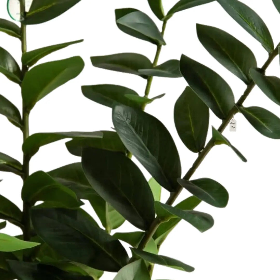 Artificial Eucalyptus Plant 75 cm Luxury Casa