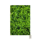 Artificial Fern Leaf Green Wall Panel 40x60 cm Luxury Casa