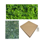 Artificial Fern Leaf Green Wall Panel 40x60 cm Luxury Casa