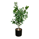 Artificial Ficus Tree 130 cm Luxury Casa