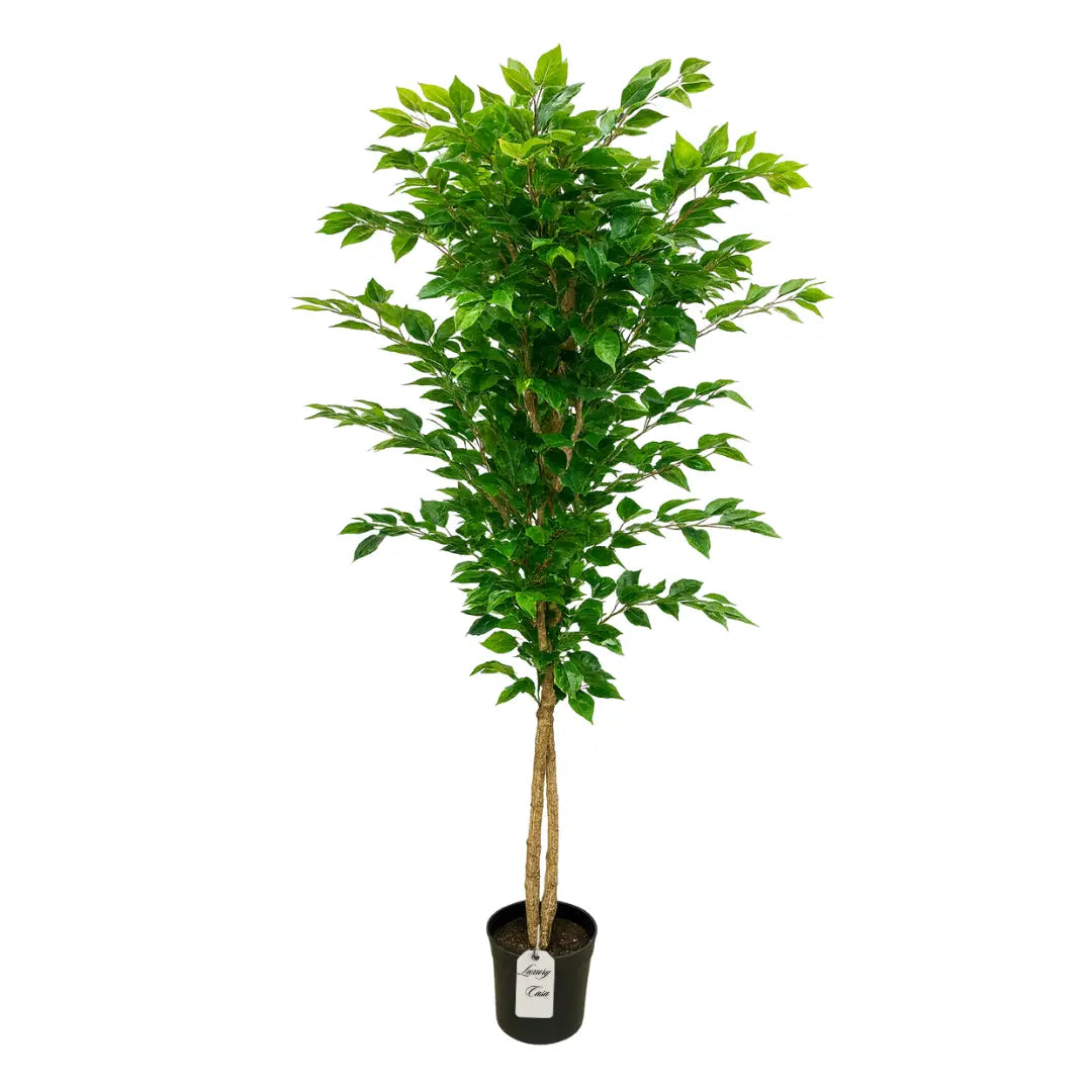 Artificial Ficus Tree 180 cm Luxury Casa