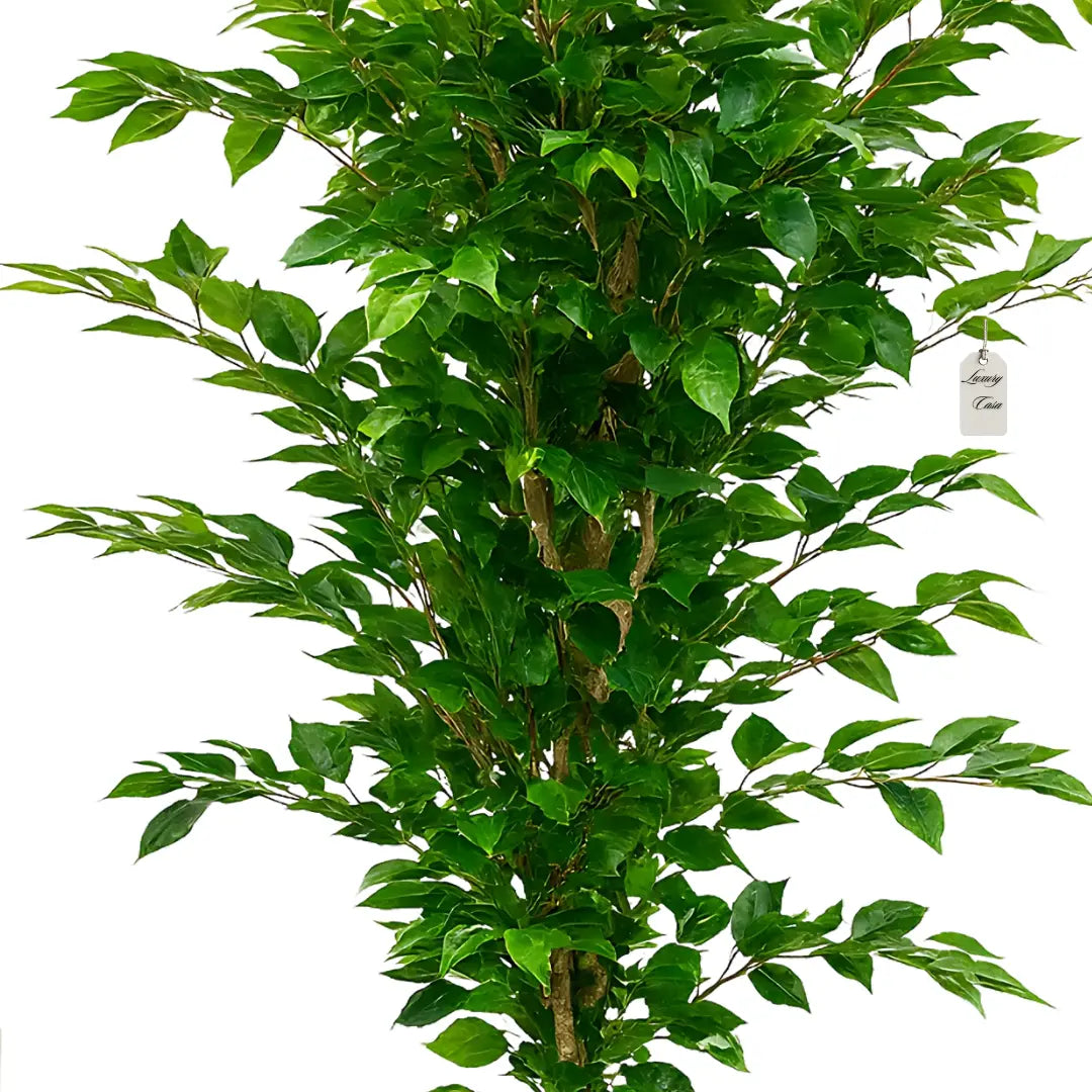 Artificial Ficus Tree 180 cm Luxury Casa