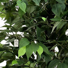 Artificial Ficus Tree With Natural Wooden Trunk 120 Cm Luxury Casa