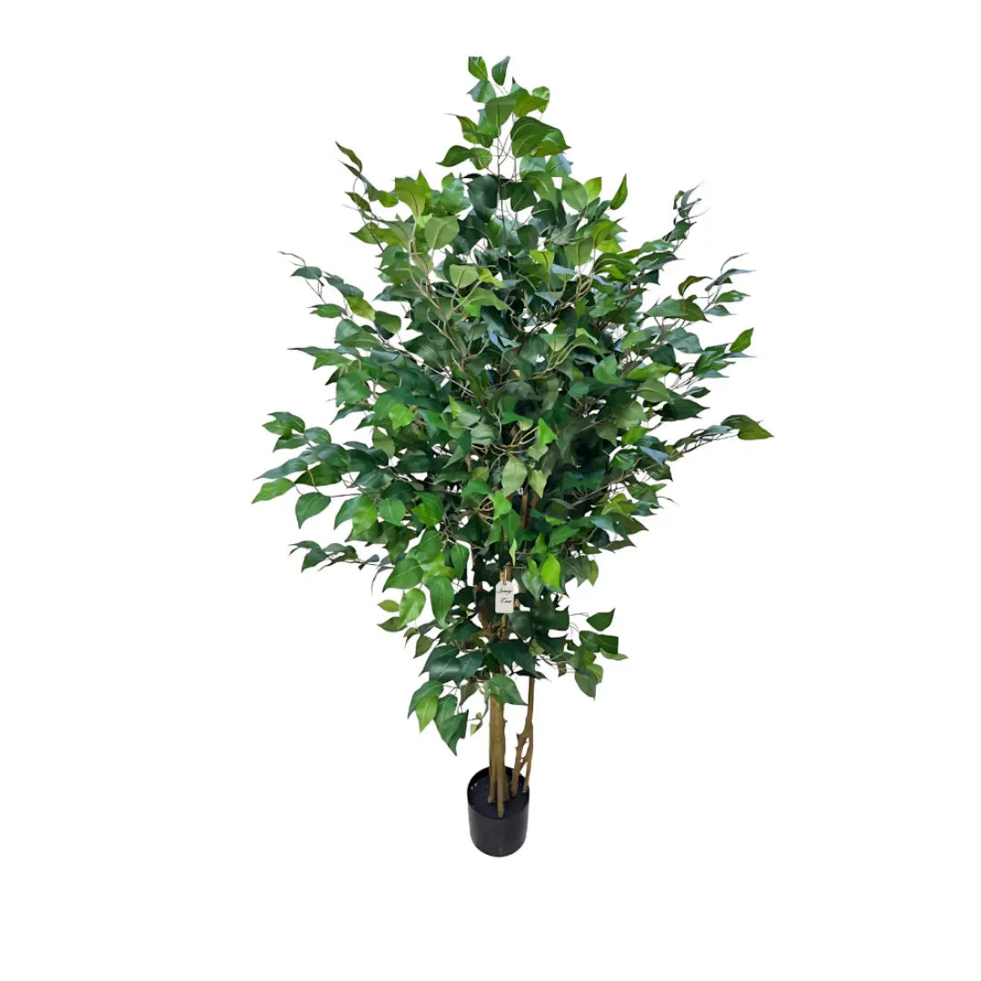 Artificial Ficus Tree With Natural Wooden Trunk 150 Cm Luxury Casa