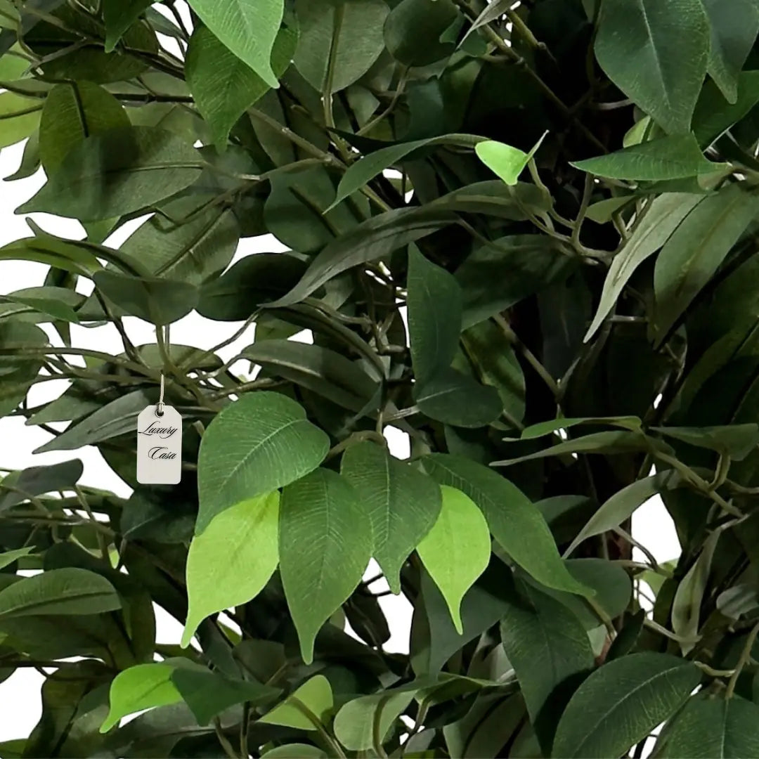 Artificial Ficus Tree With Natural Wooden Trunk 150 Cm Luxury Casa