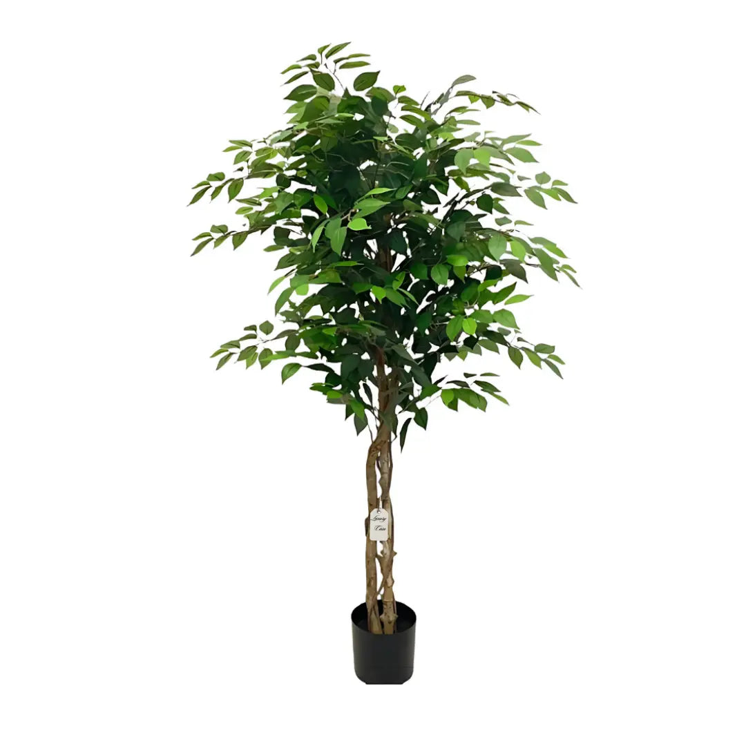 Artificial Ficus Tree With Natural Wooden Trunk 180 Cm Luxury Casa