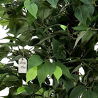 Artificial Ficus Tree With Natural Wooden Trunk 180 Cm Luxury Casa