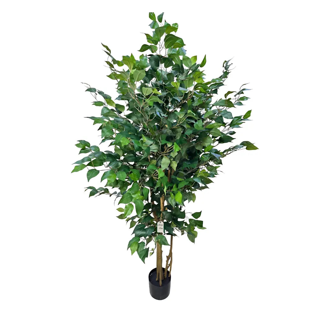 Artificial Ficus Tree With Natural Wooden Trunk 180 Cm Luxury Casa