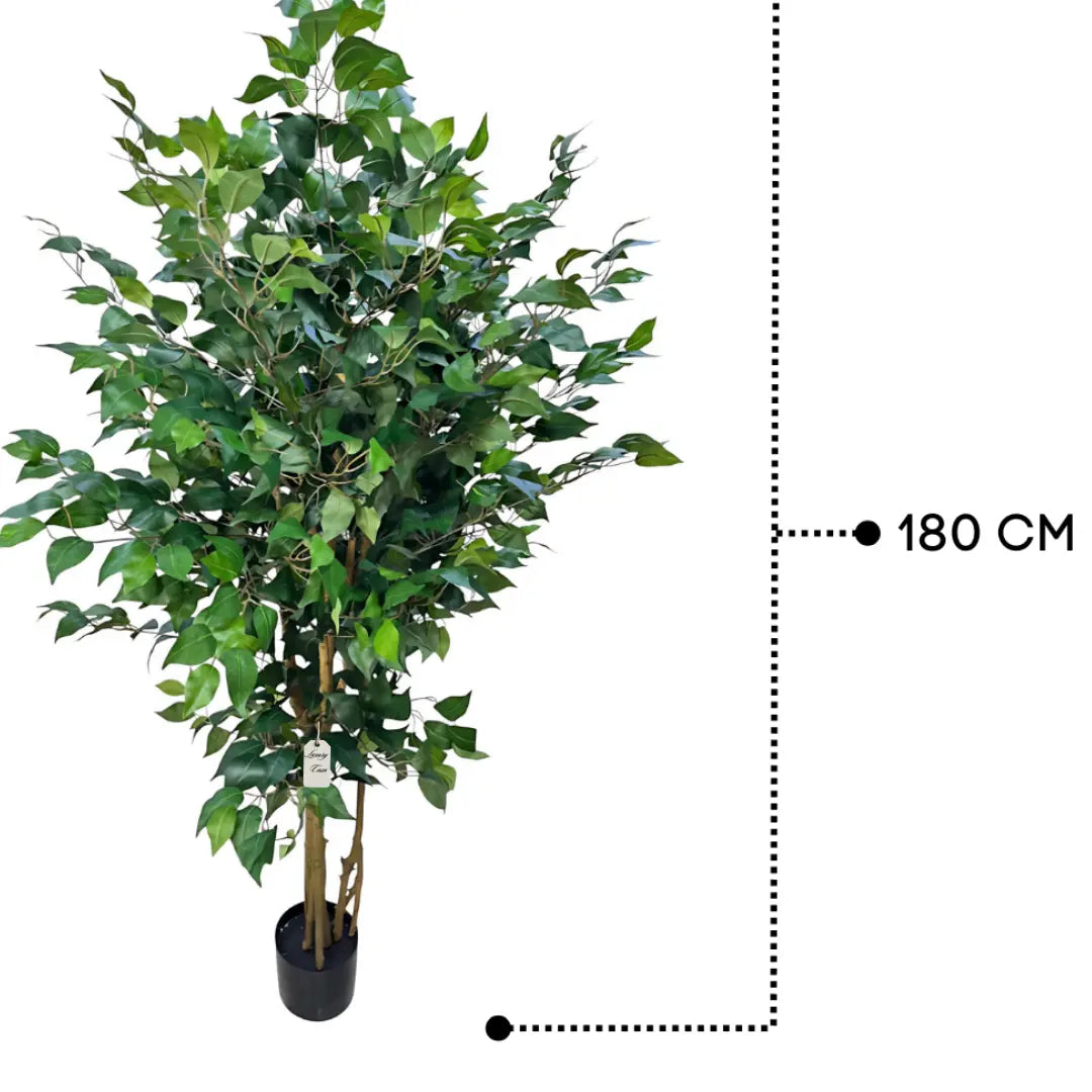 Artificial Ficus Tree With Natural Wooden Trunk 180 Cm Luxury Casa