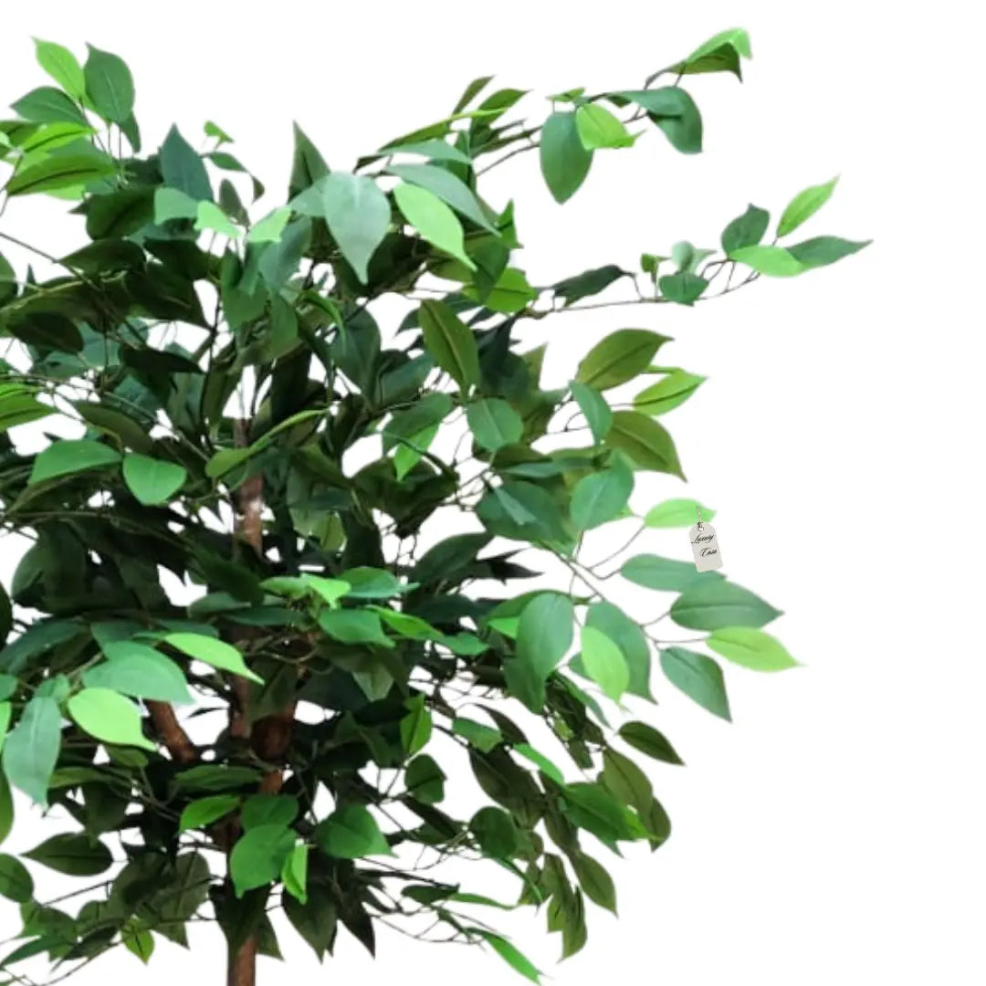 Artificial Ficus Tree With Natural Wooden Trunk 180 cm Luxury Casa