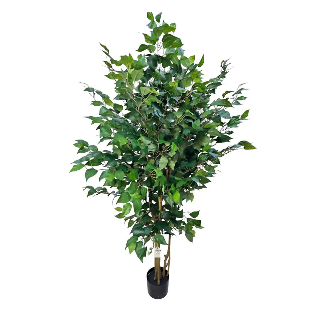 Artificial Ficus Tree With Natural Wooden Trunk 200 Cm Luxury Casa