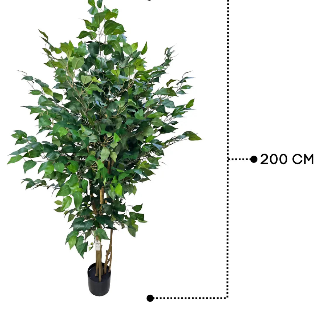 Artificial Ficus Tree With Natural Wooden Trunk 200 Cm Luxury Casa