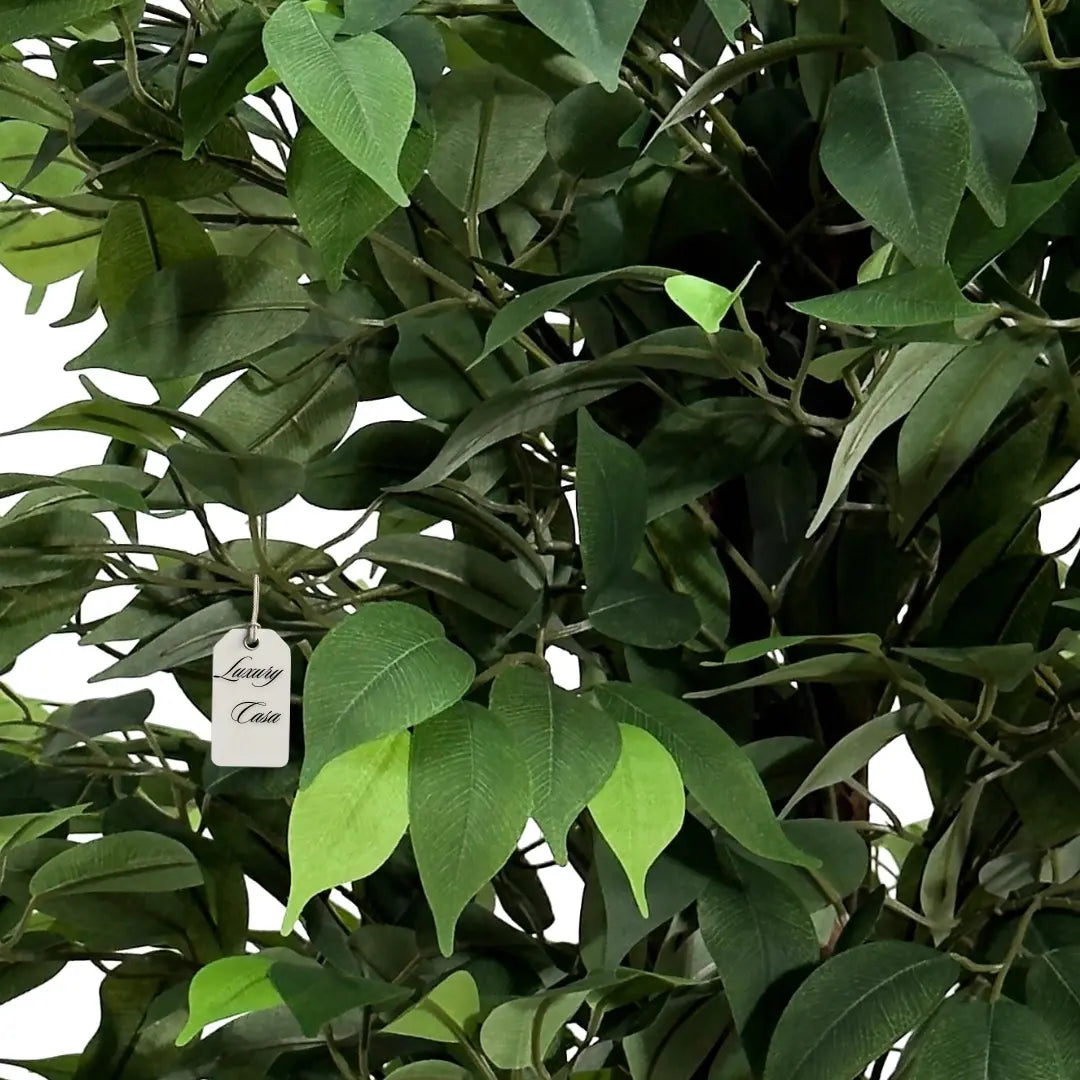 Artificial Ficus Tree With Natural Wooden Trunk 200 Cm Luxury Casa