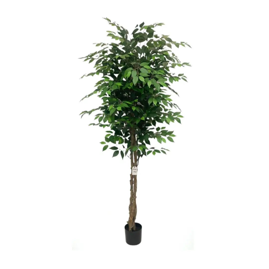 Artificial Ficus Tree With Natural Wooden Trunk 210 Cm Luxury Casa