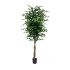 Artificial Ficus Tree With Natural Wooden Trunk 210 Cm Luxury Casa