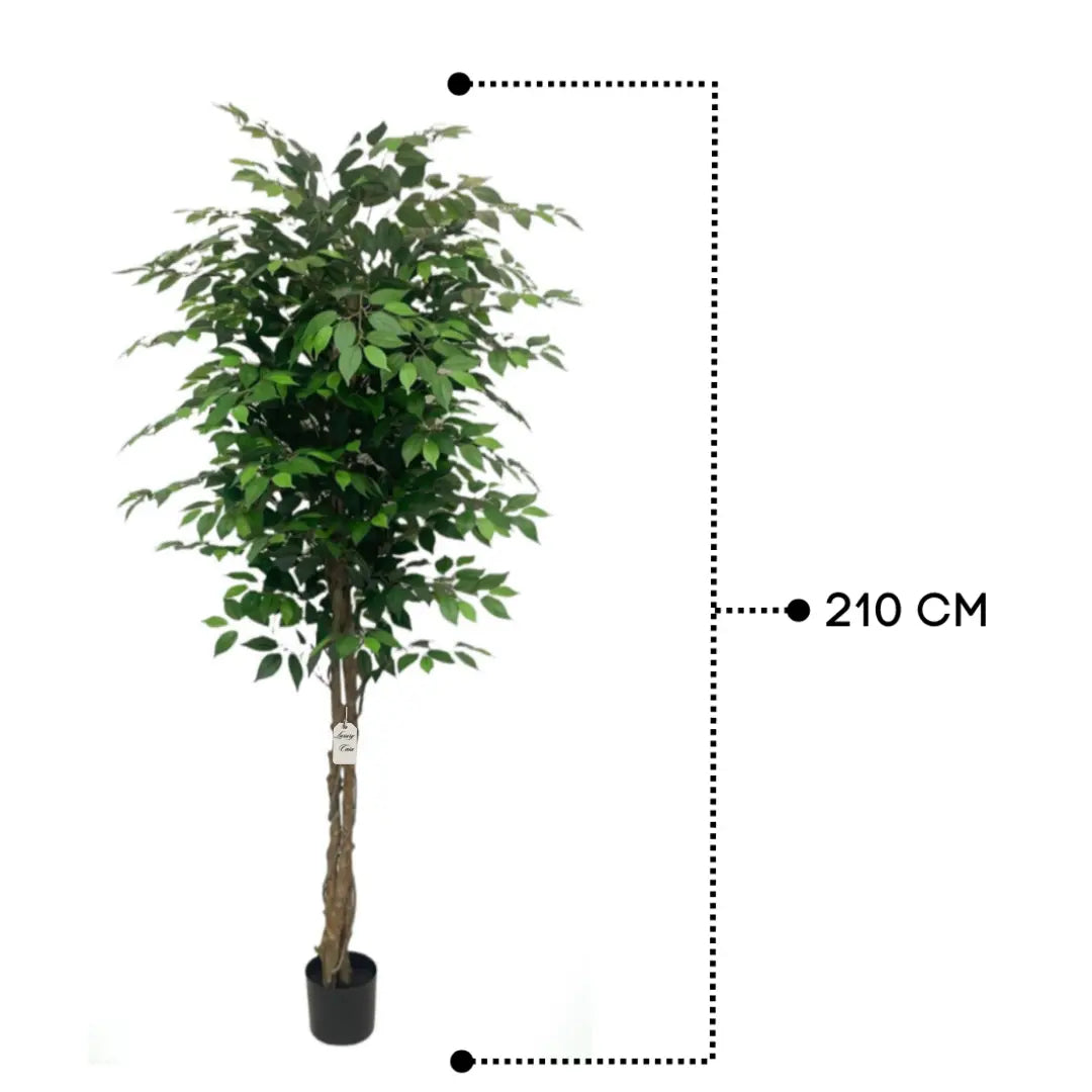 Artificial Ficus Tree With Natural Wooden Trunk 210 Cm Luxury Casa