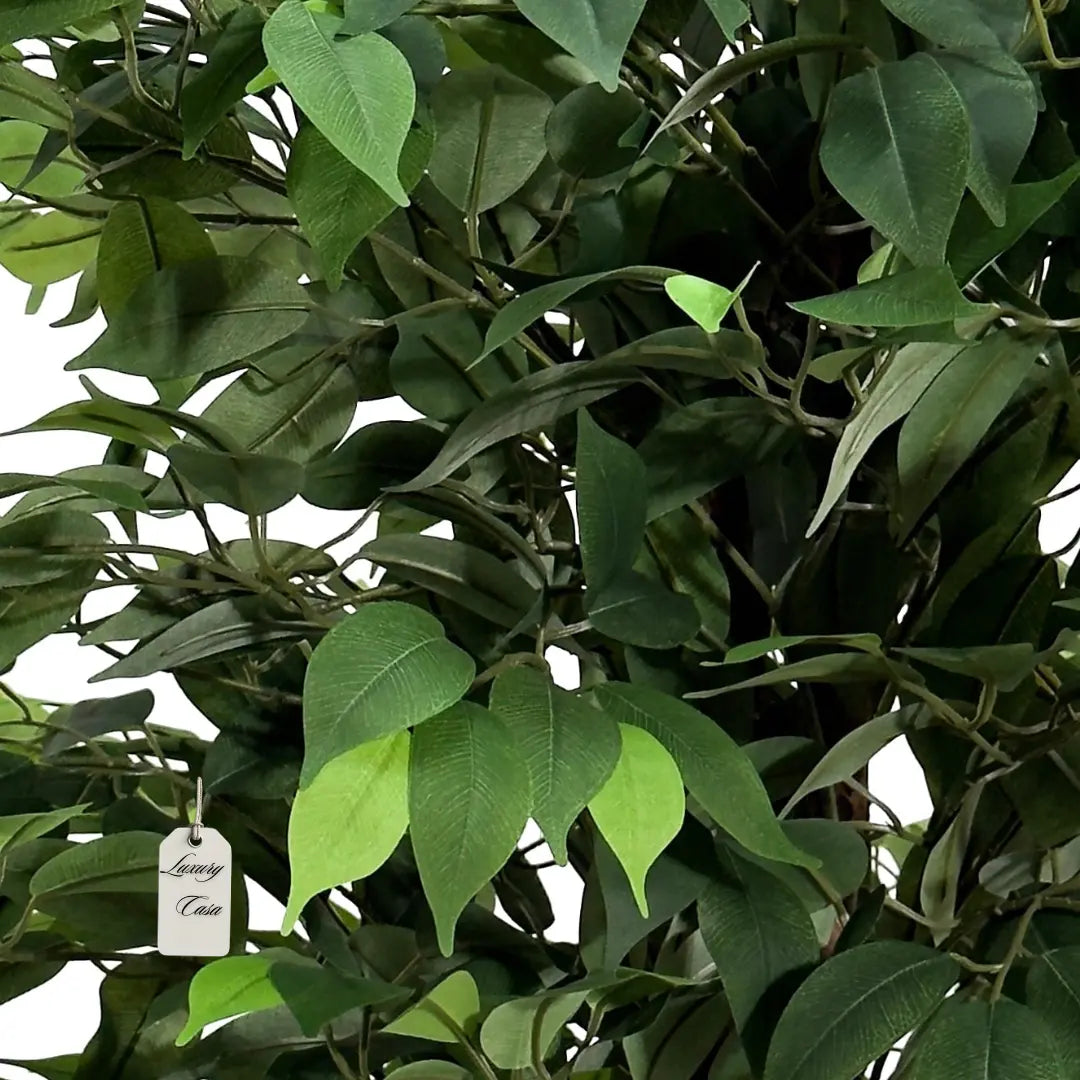 Artificial Ficus Tree With Natural Wooden Trunk 210 Cm Luxury Casa