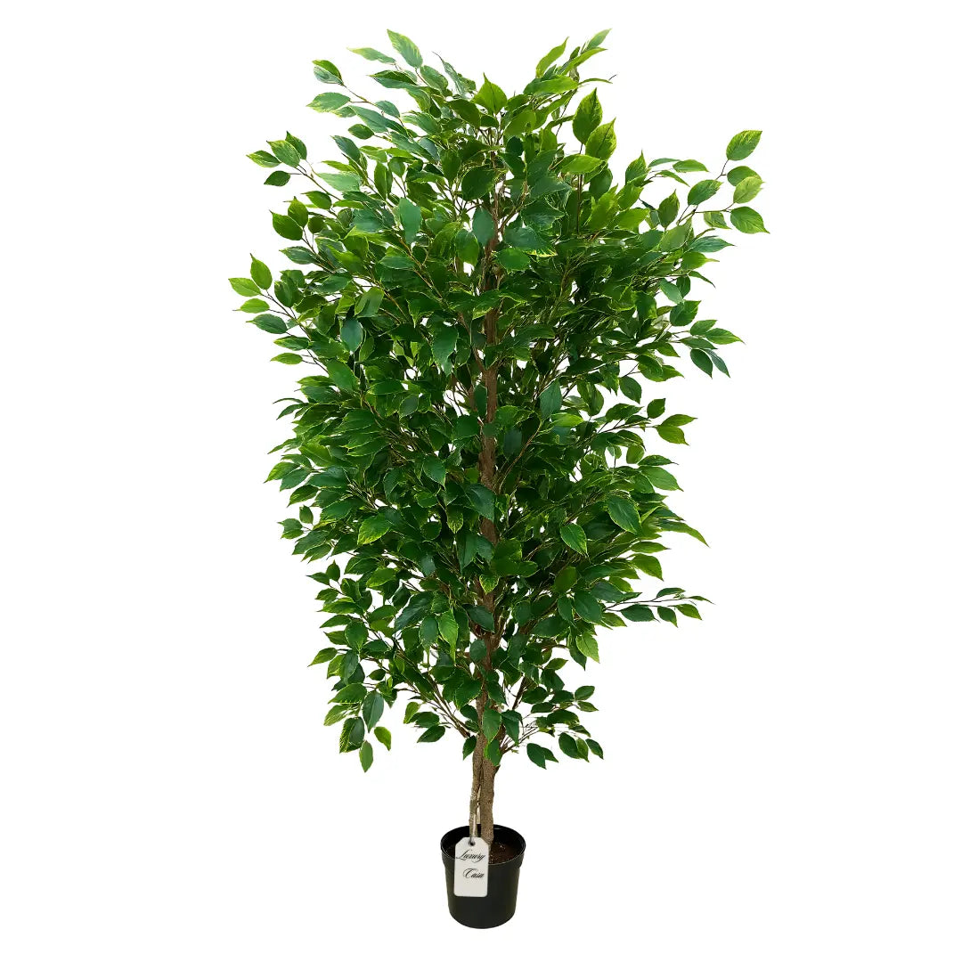 Artificial Ficus Tree With Natural Wooden Trunk 210 cm Luxury Casa
