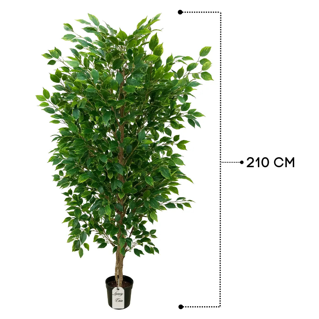 Artificial Ficus Tree With Natural Wooden Trunk 210 cm Luxury Casa