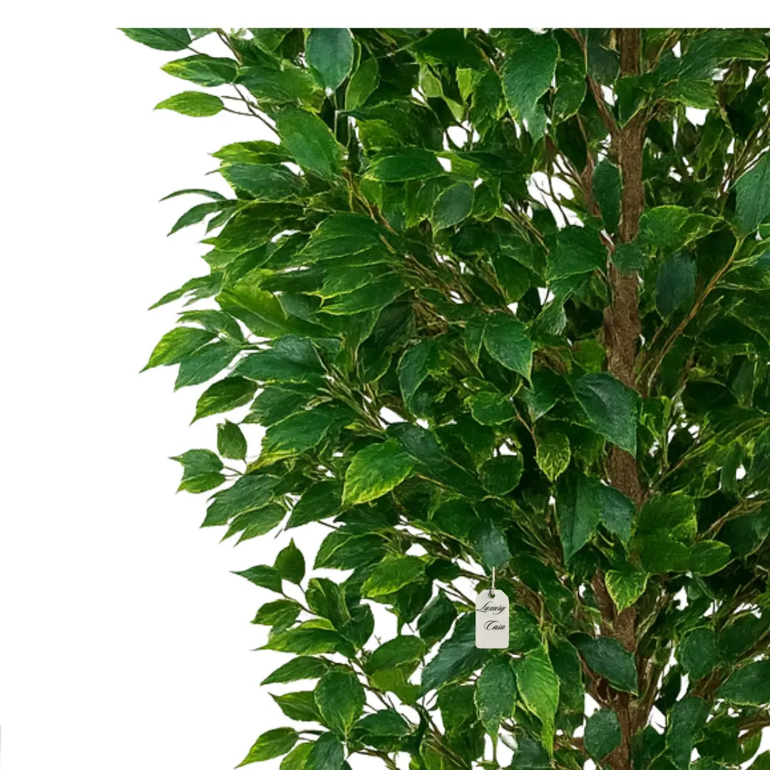 Artificial Ficus Tree With Natural Wooden Trunk 210 cm Luxury Casa