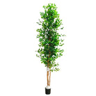 Artificial Ficus Tree With Natural Wooden Trunk 250 Cm Luxury Casa