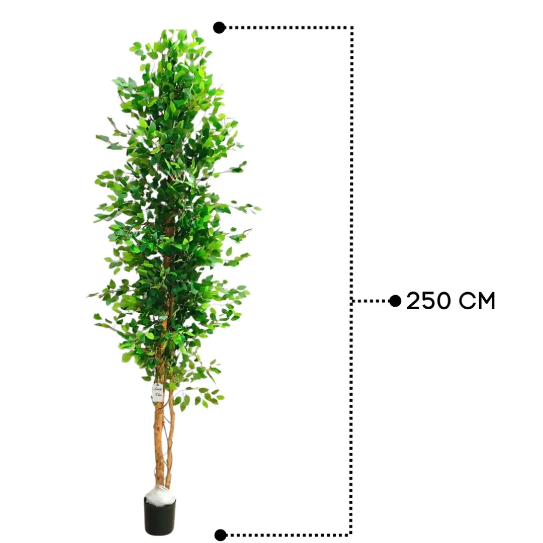 Artificial Ficus Tree With Natural Wooden Trunk 250 Cm Luxury Casa