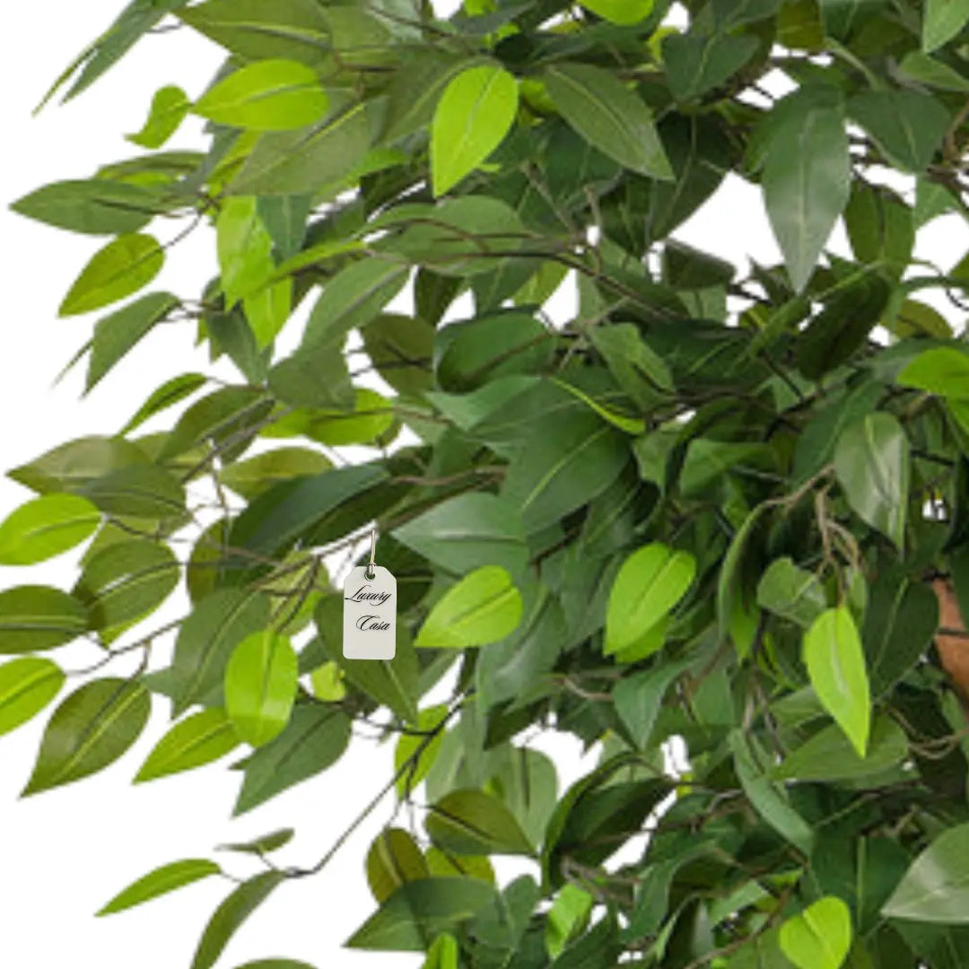 Artificial Ficus Tree With Natural Wooden Trunk 250 Cm Luxury Casa