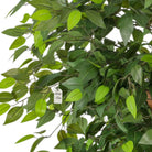 Artificial Ficus Tree With Natural Wooden Trunk 250 Cm Luxury Casa