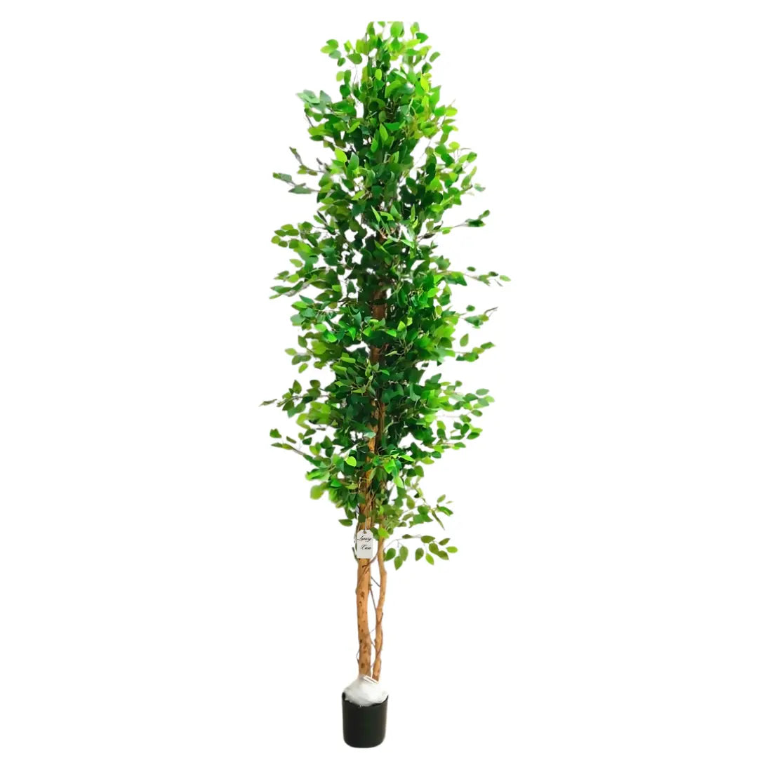 Artificial Ficus Tree With Natural Wooden Trunk 300 Cm Luxury Casa