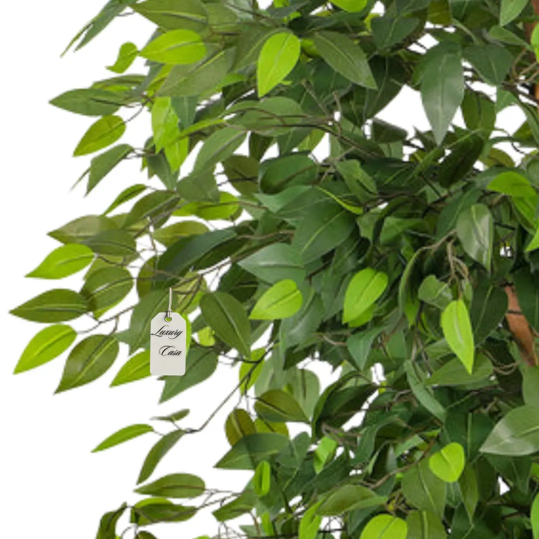 Artificial Ficus Tree With Natural Wooden Trunk 300 Cm Luxury Casa