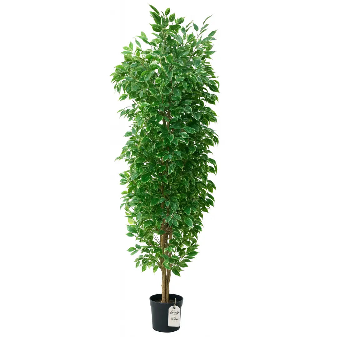 Artificial Ficus Tree With Natural Wooden Trunk 300 cm Luxury Casa