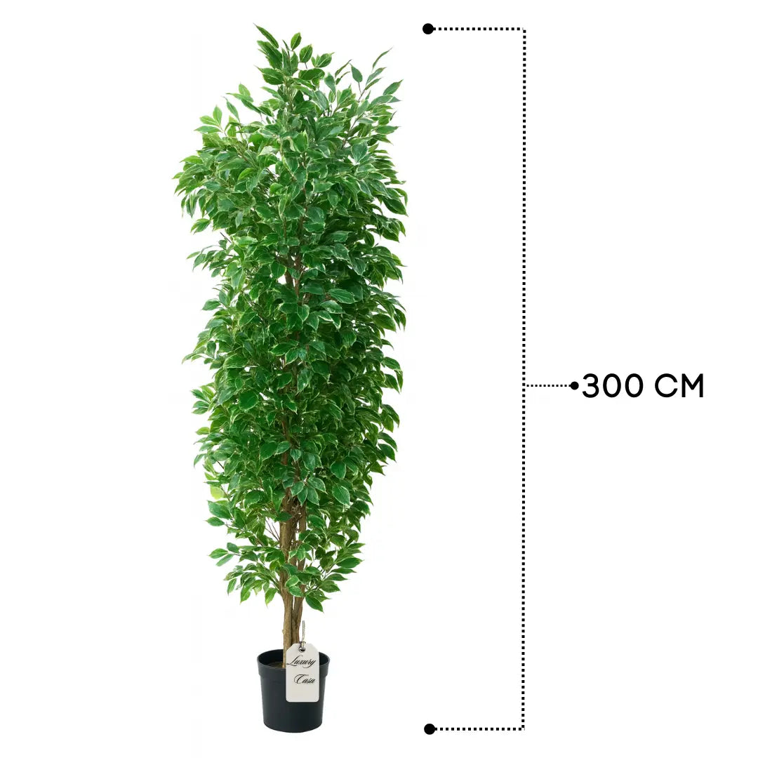 Artificial Ficus Tree With Natural Wooden Trunk 300 cm Luxury Casa