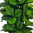 Artificial Fiddle Tree With Natural Wooden Trunk 150 cm Luxury Casa