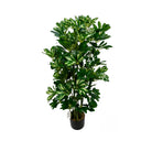 Artificial Schefflera Tree 100 cm Luxury Casa