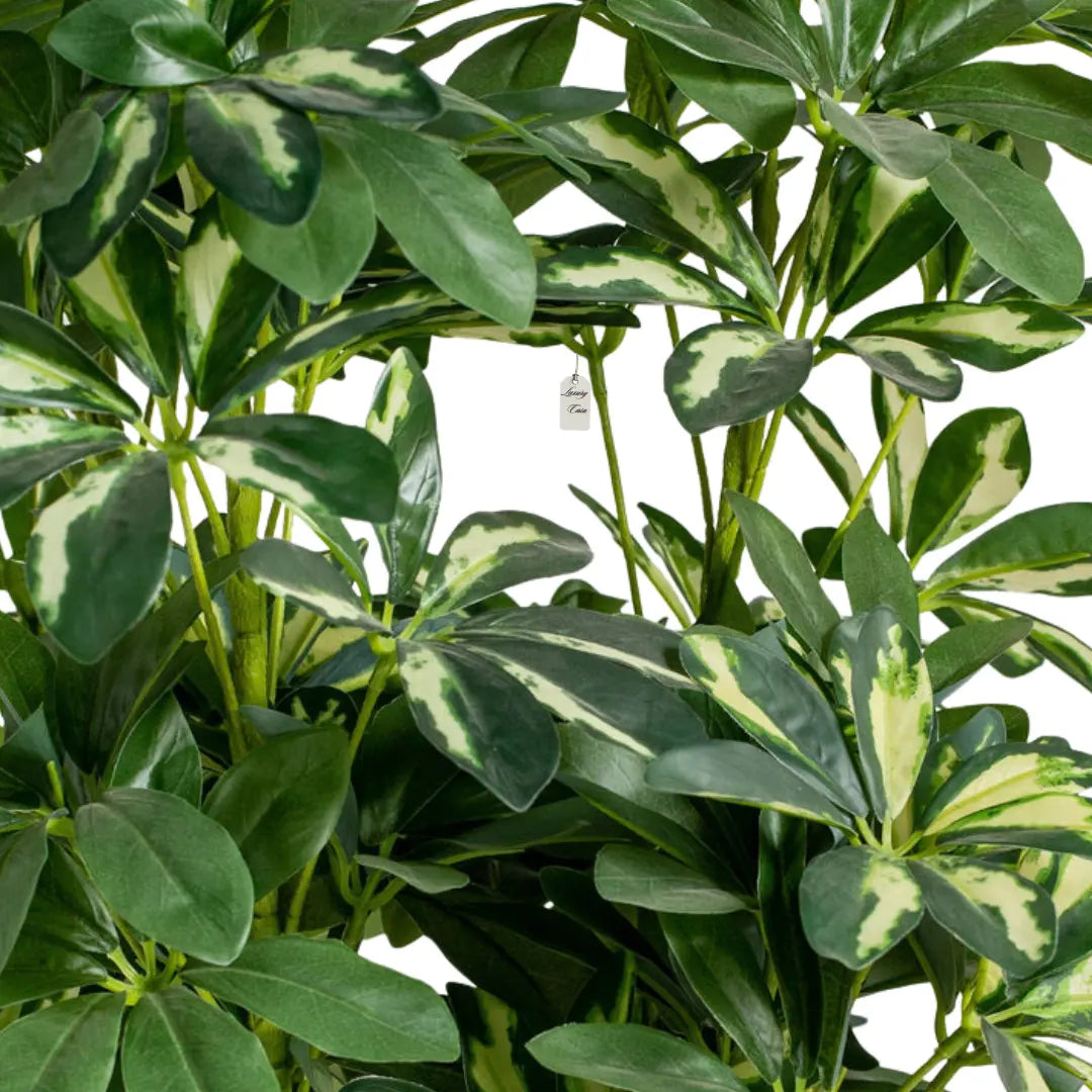 Artificial Schefflera Tree 100 cm Luxury Casa