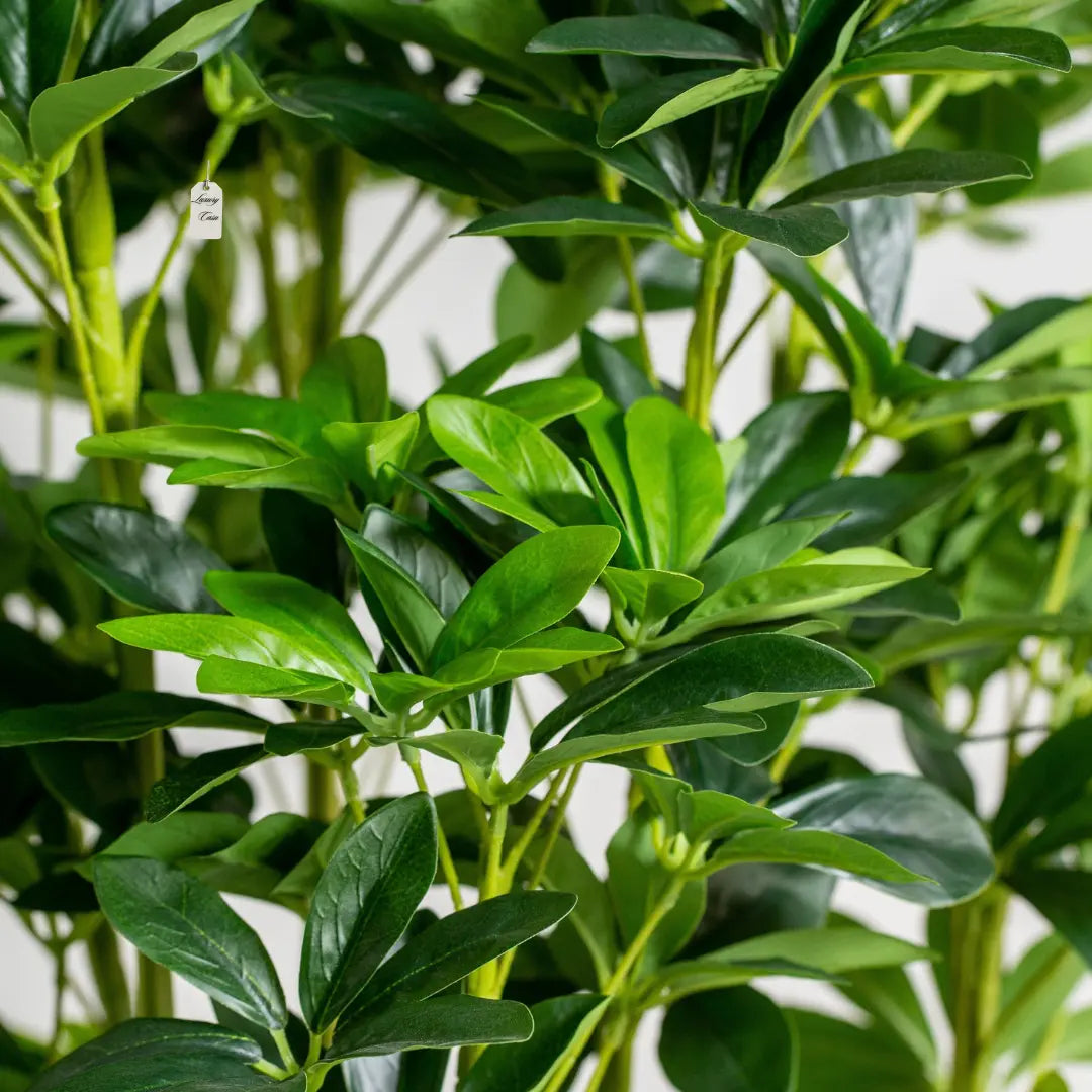 Artificial Schefflera Tree 120 cm Luxury Casa