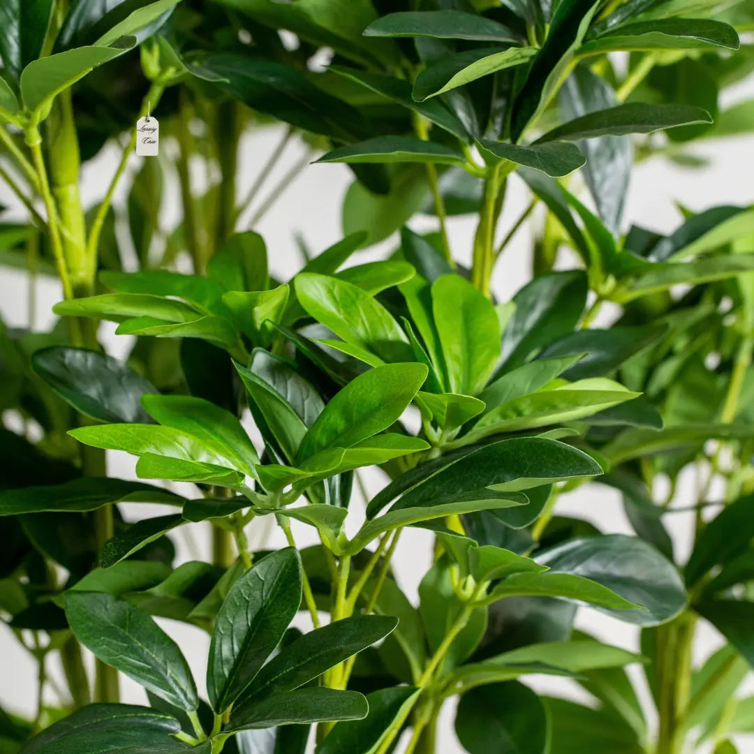 Artificial Schefflera Tree 150 cm Luxury Casa