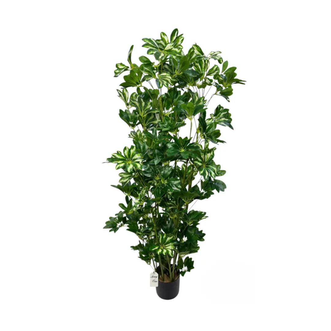 Artificial Schefflera Tree 150 cm Luxury Casa