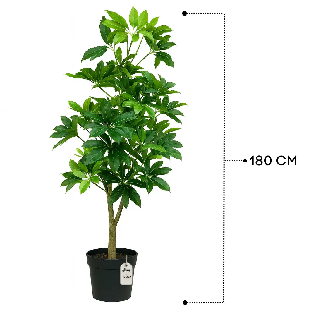 Artificial Schefflera Tree 180 cm Luxury Casa