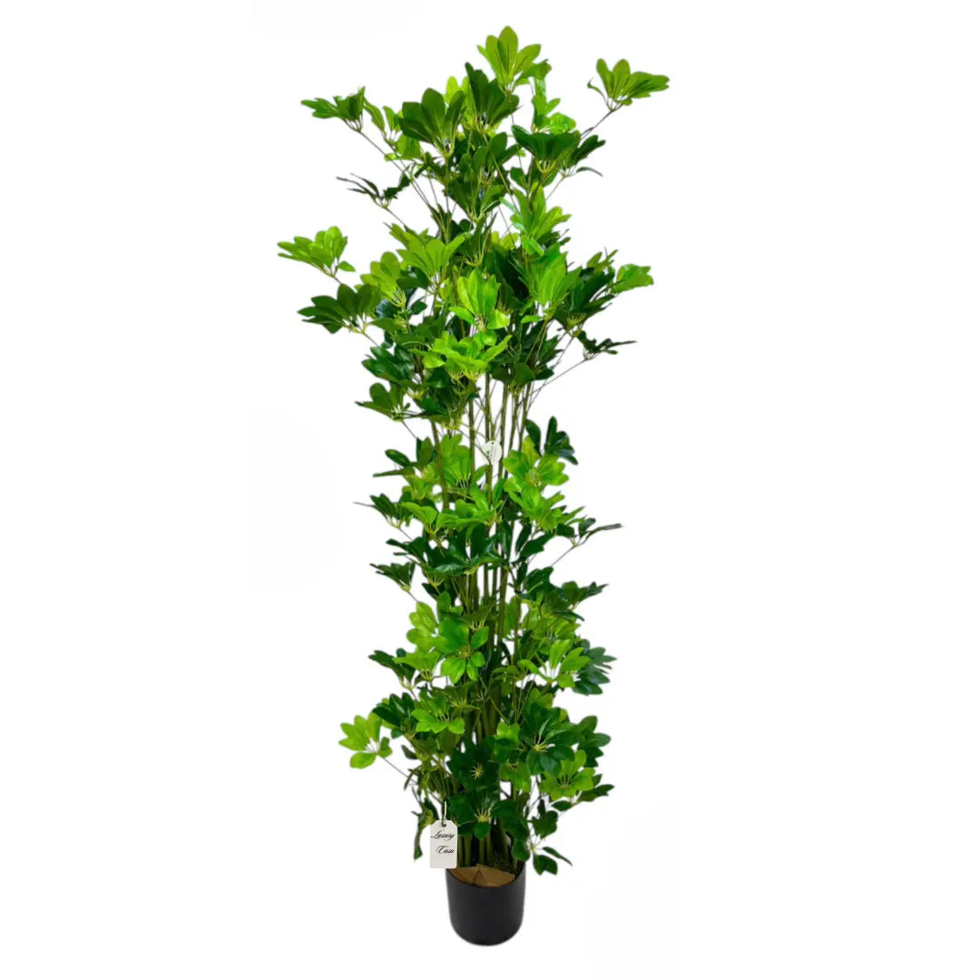 Artificial Schefflera Tree 190 cm Luxury Casa