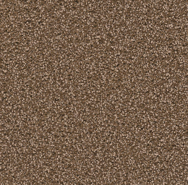 Blockbuster Plus Carpet Roll – AED 69 per m²