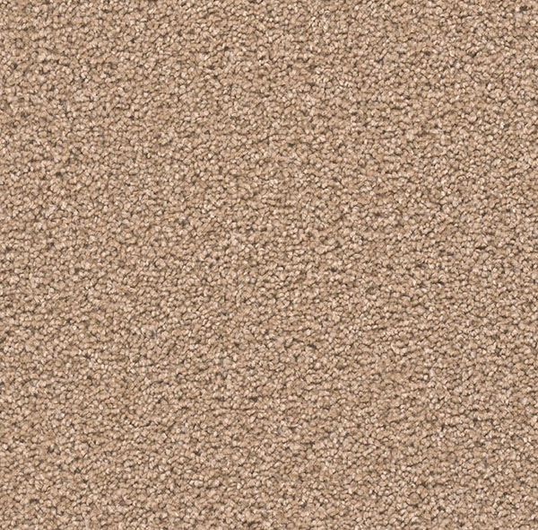 Blockbuster Plus Carpet Roll – AED 69 per m²