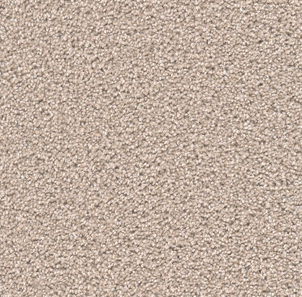 Blockbuster Plus Carpet Roll – AED 69 per m²