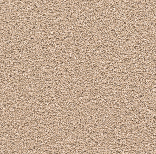 Blockbuster Plus Carpet Roll – AED 69 per m²